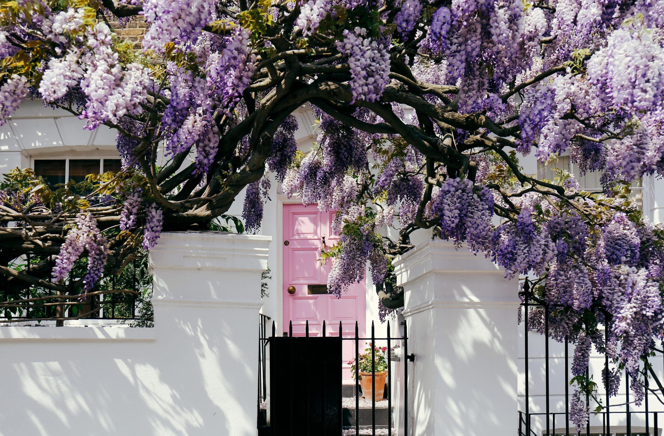 Properties to rent in London