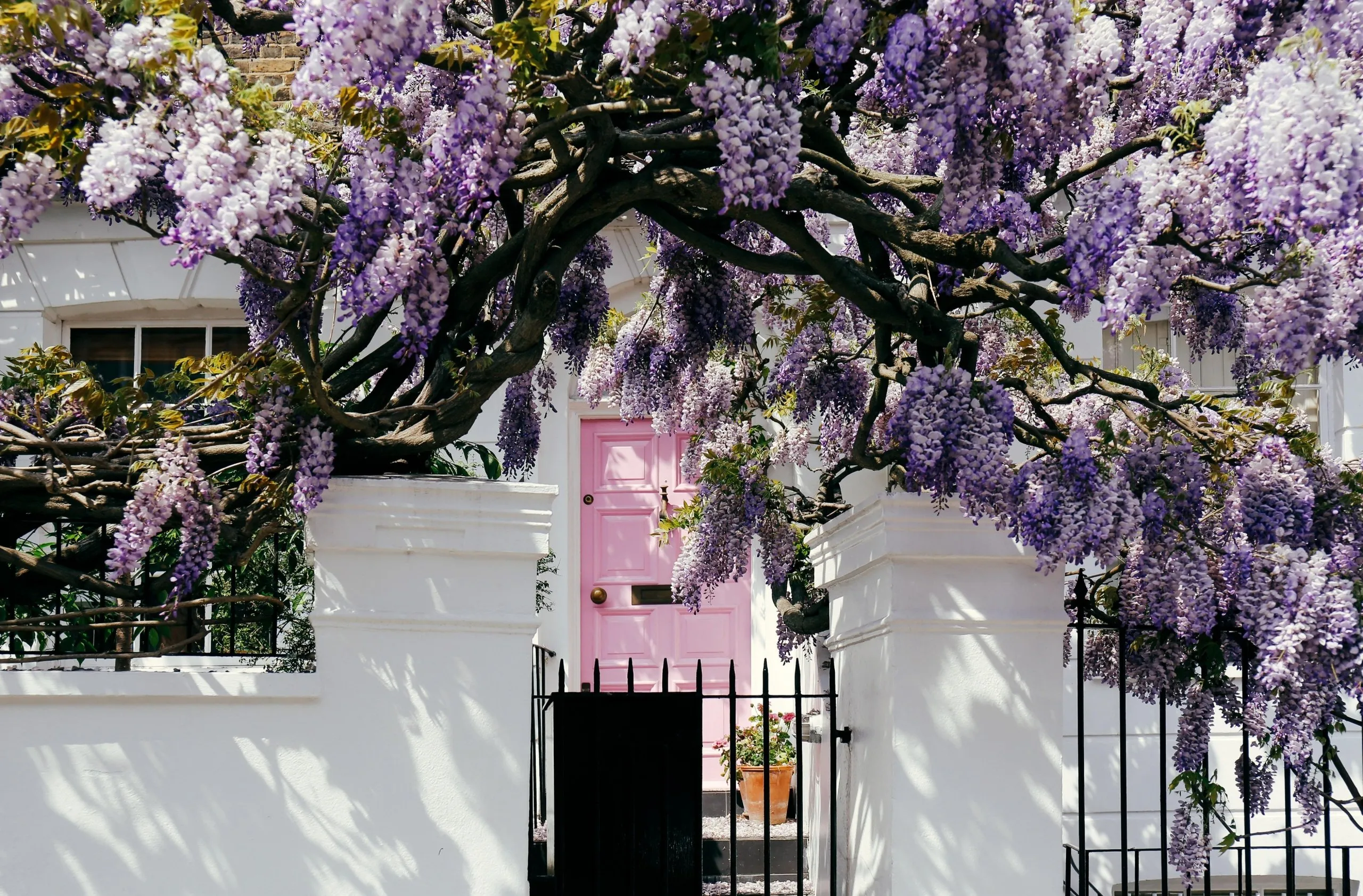 Properties to rent in London